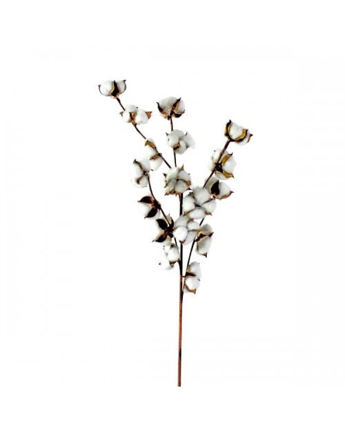 Dirbtinių gėlių šakelės "Cotton" (3vnt)