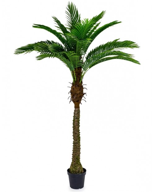 Aukšta dirbtinė palmė 2