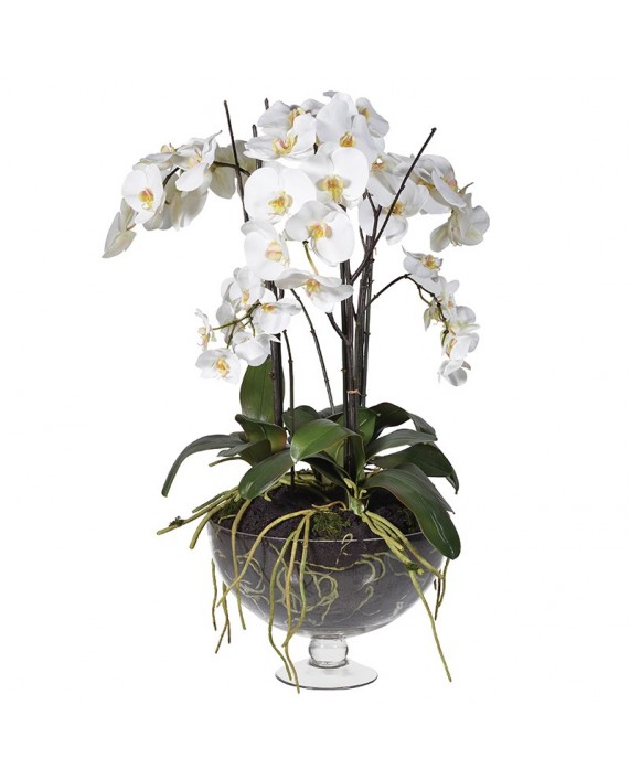 Dirbtinė orchidėja vazoje "Orchid Phalaenopsis 4"