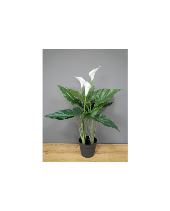 Gėlė "White Lily"