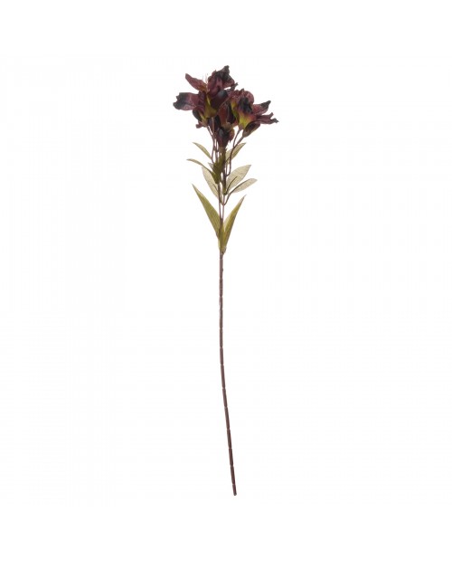 Dirbtinė gėlė "Chocolate Alstroemeria"