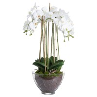 Dirbtinė orchidėja stikliniame vazone "White Orchid"