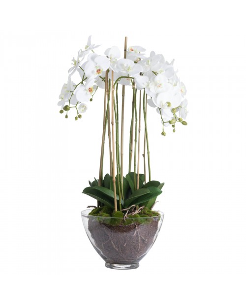 Dirbtinė orchidėja stikliniame vazone "White Orchid"