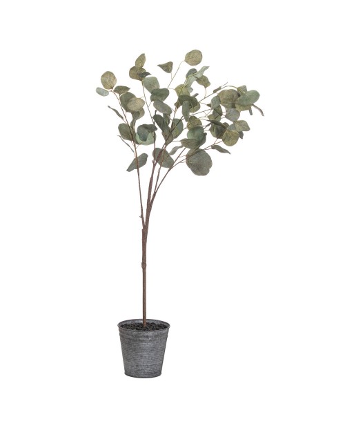 Dirbtinis augalas "Eucalyptus S"