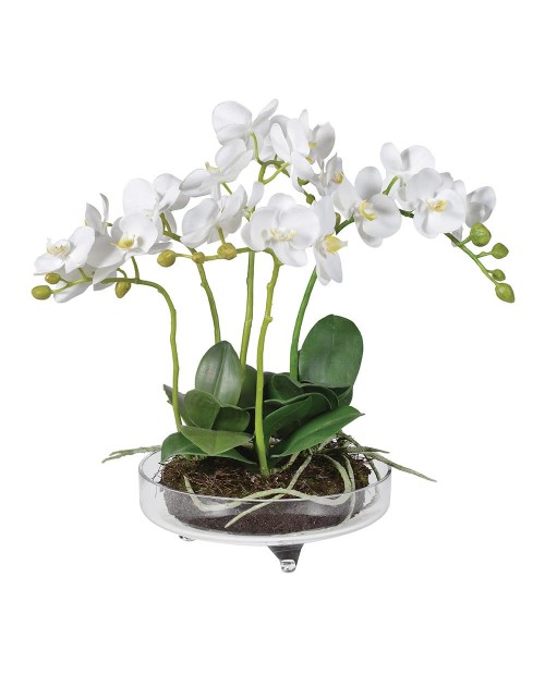 Dirbtinė orchidėja vazoje "Orchid Phalaenopsis"