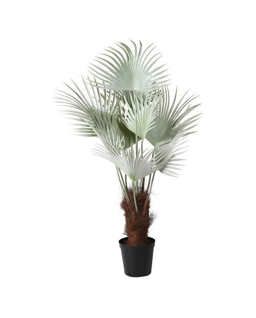 Dirbtinė palmė "Mexican"