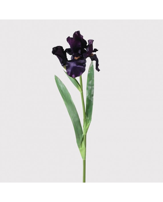 Gėlė "Iris"