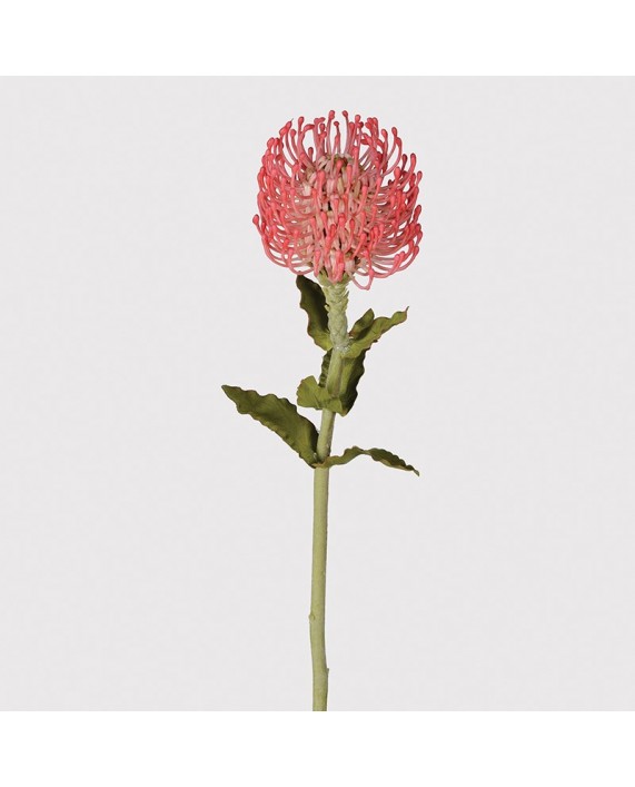 Dirbtinės gėlės "Spikey Protea" (3vnt)
