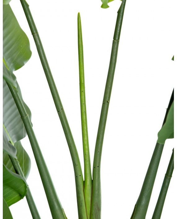 Dirbtinis augalas vazonėlyje "STRELITZIA TREE XL"