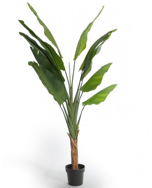 Dirbtinis augalas vazonėlyje "STRELITZIA TREE XL"