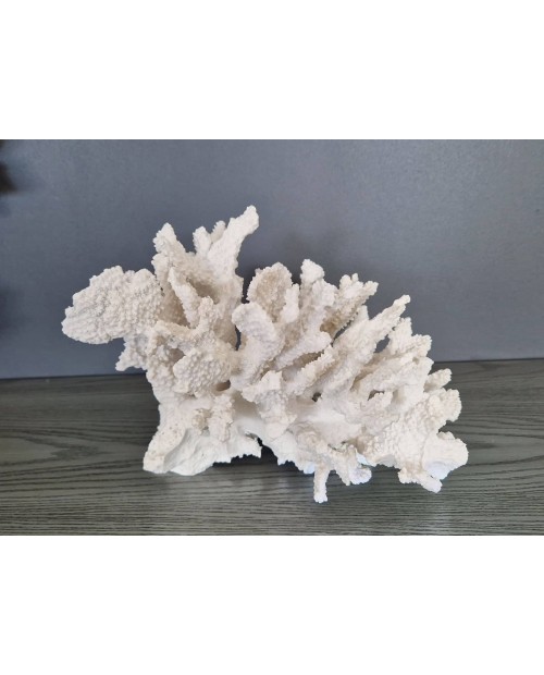 Dekoracija "White Coral"