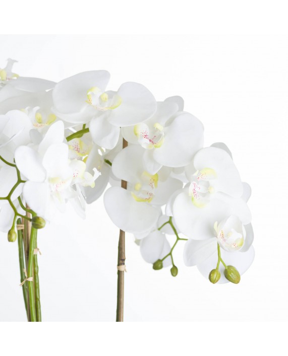 Dirbtinė orchidėja vazone "White Orchid"